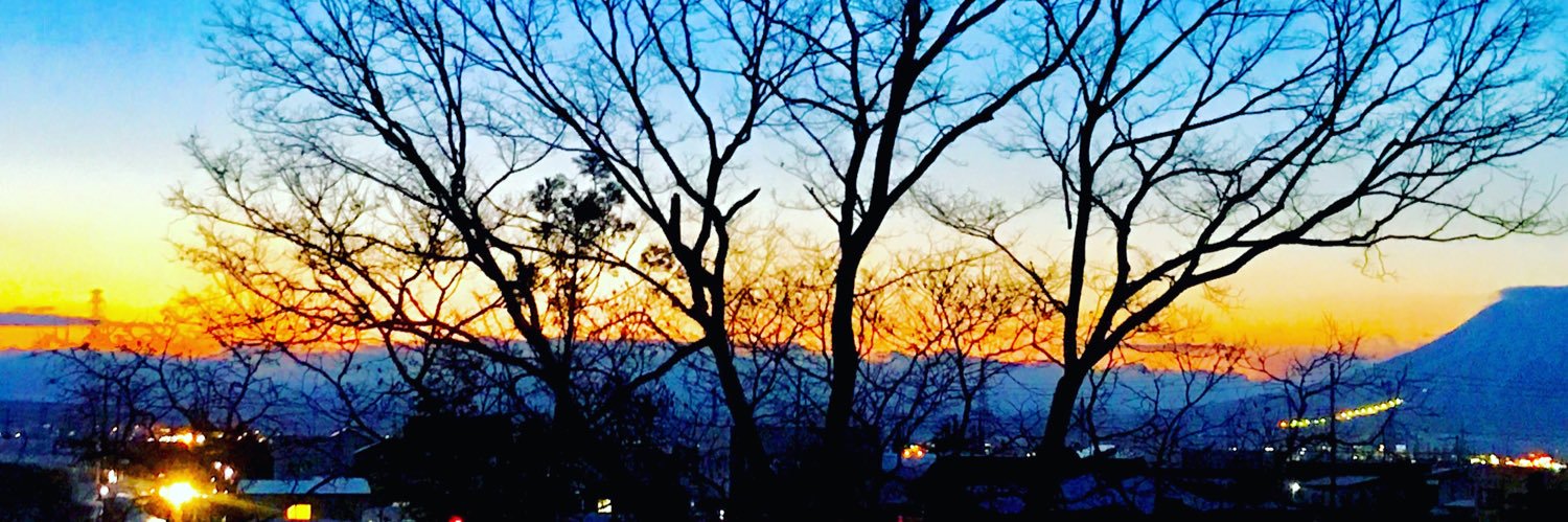 たまさん's banner