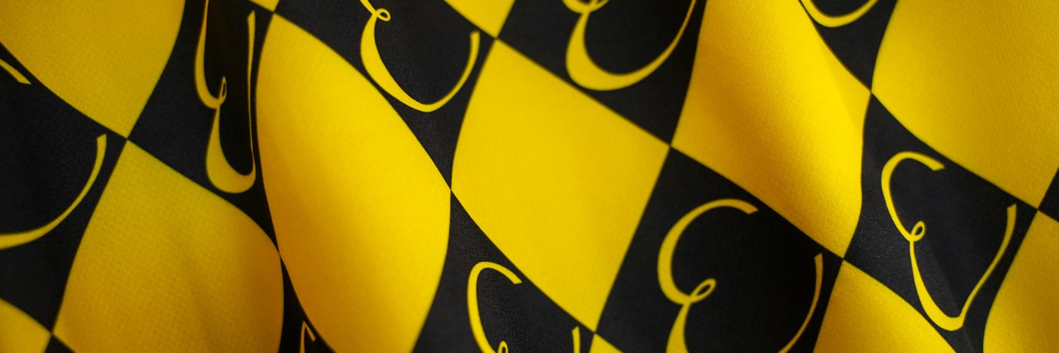 IF Elfsborg's banner