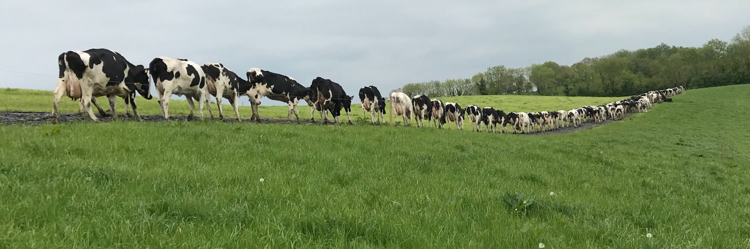 Edward Treanor 🐄 🥛's banner