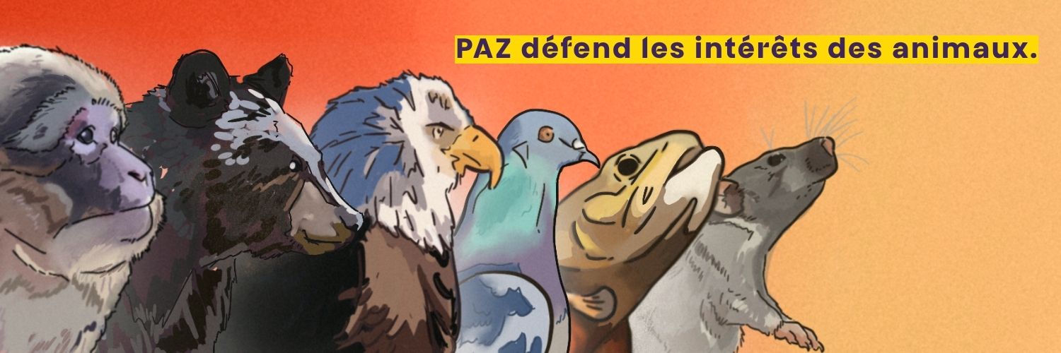 PAZ's banner