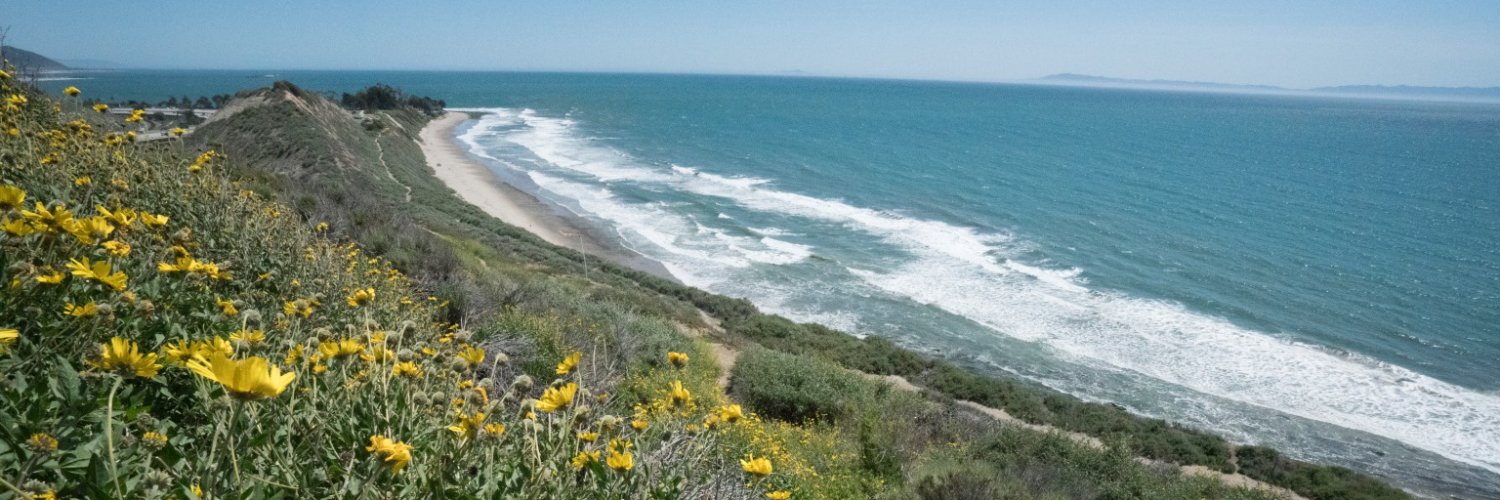 Santa Barbara Independent's banner