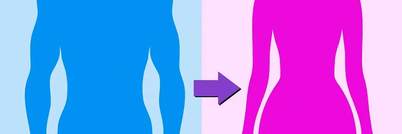 Feminizing Sissys's banner