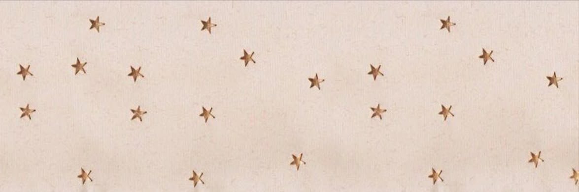 amy⋆˚࿔'s banner
