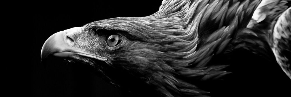 د.محمد الكندري's banner