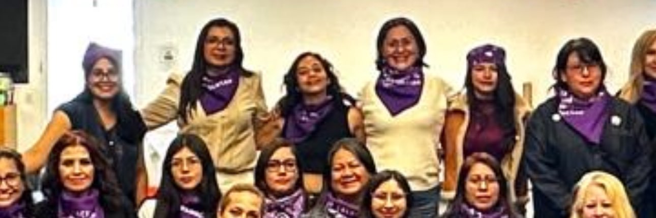 Cecilia Solis's banner
