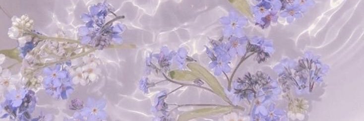 quietly living's banner