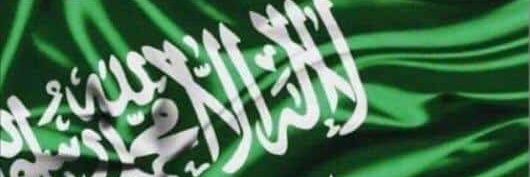 Musab Aljerfali's banner