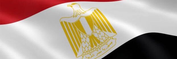 Tamer El-Shahawy's banner