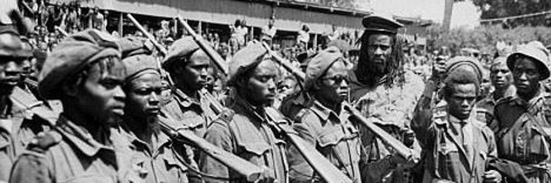 Wanjira Wanjiru🇰🇪🇵🇸's banner