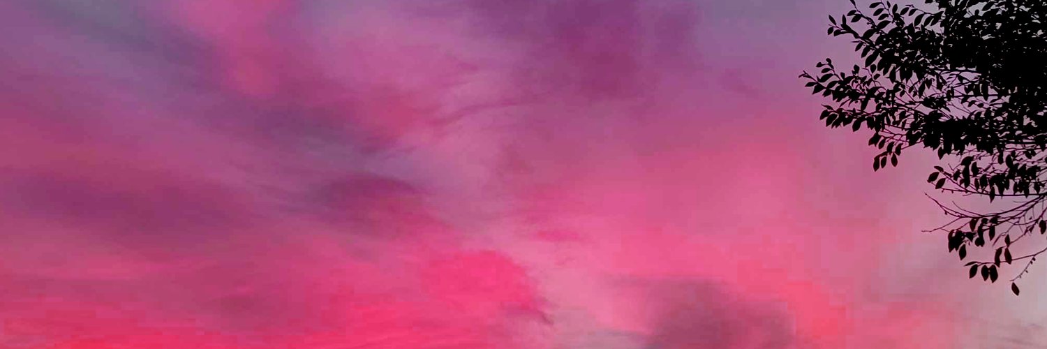 rumi's banner