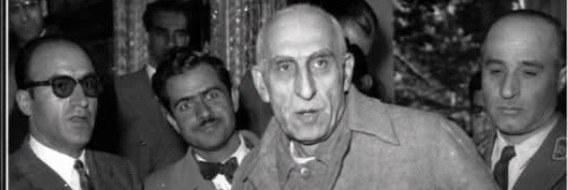 Hassan Habibi's banner