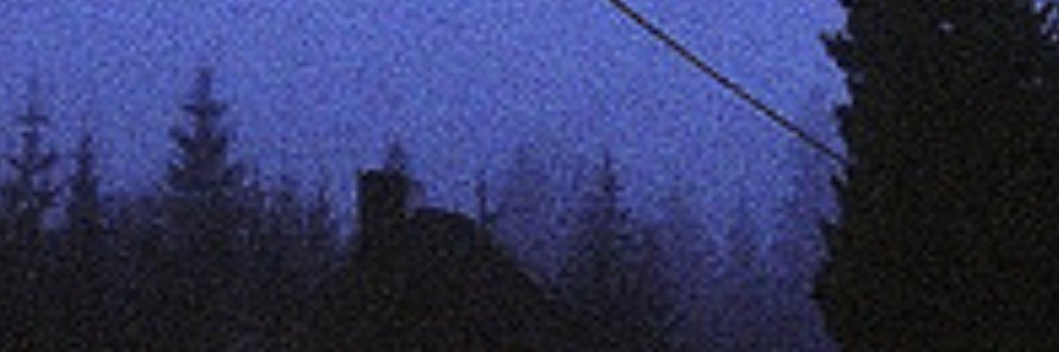 𝓌𝒾𝓁𝓈𝒽𝒾𝓇𝑒 𝒷𝑜𝓊𝓁𝑒𝓋𝒶𝓇𝒹 🥀's banner
