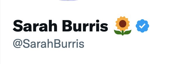 Sarah Burris's banner