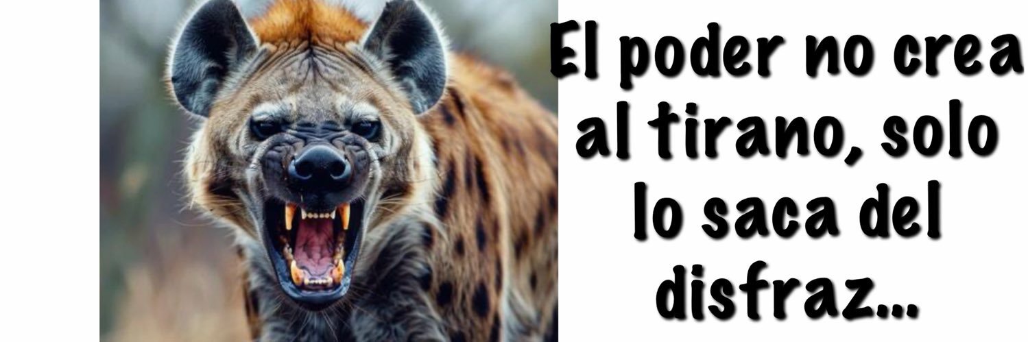 Marcela Pagano's banner