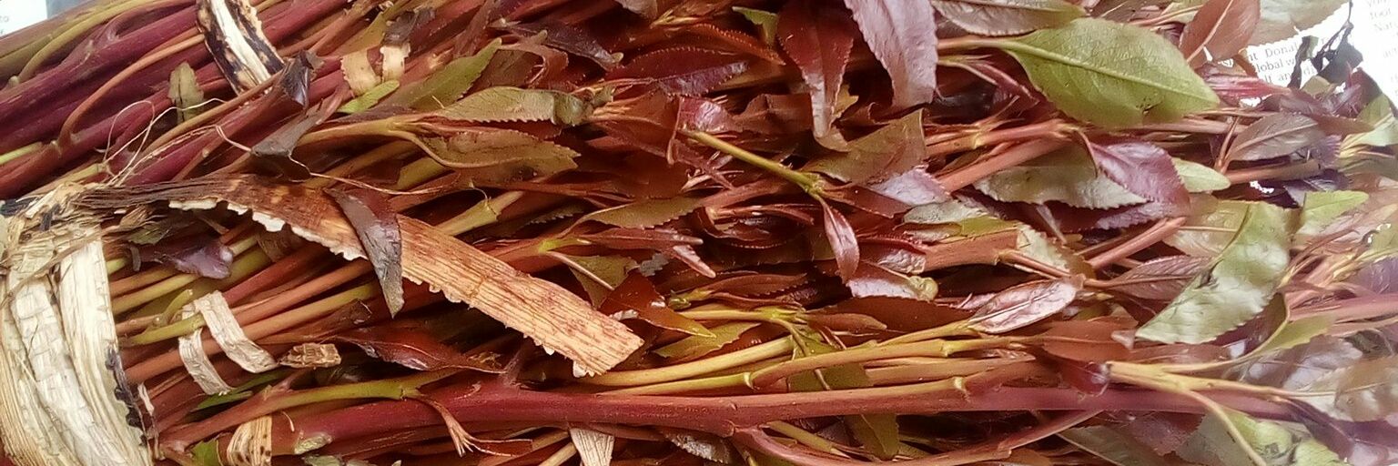 Gari ya Miraa®'s banner
