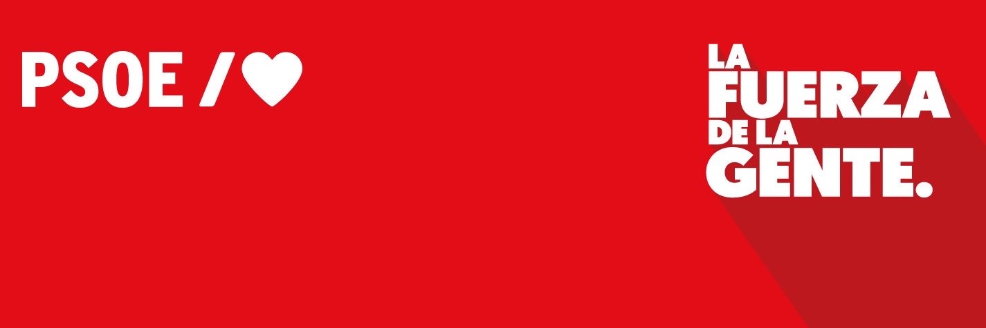 PSOE Madrid's banner