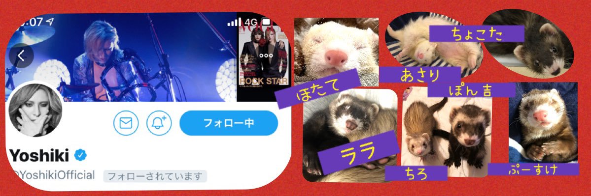 skk♡'s banner