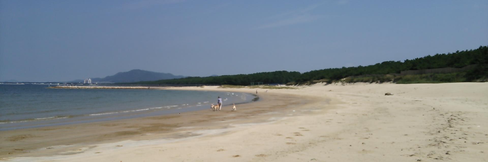 Bコミ（坂本 慎太郎）'s banner