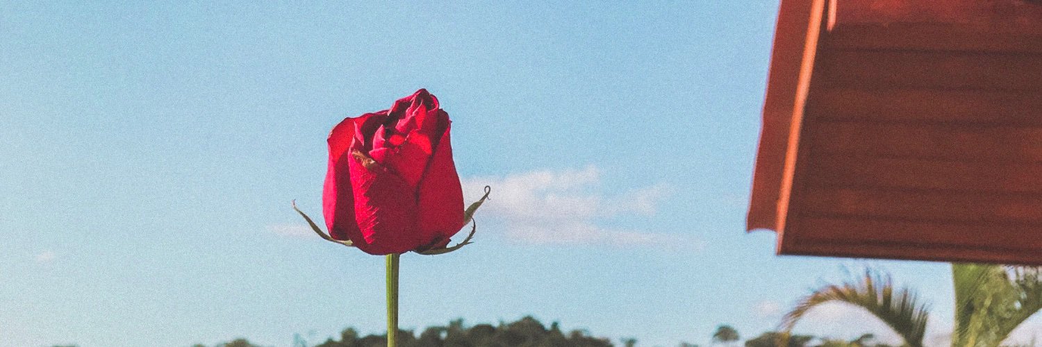 Aline Oliveira's banner