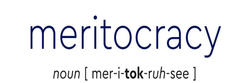 Meritokrat's banner