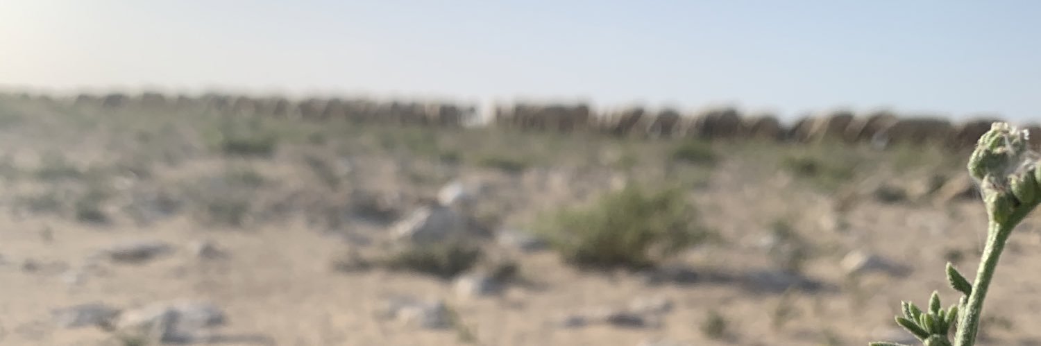 علي بن أحمد المهندي's banner