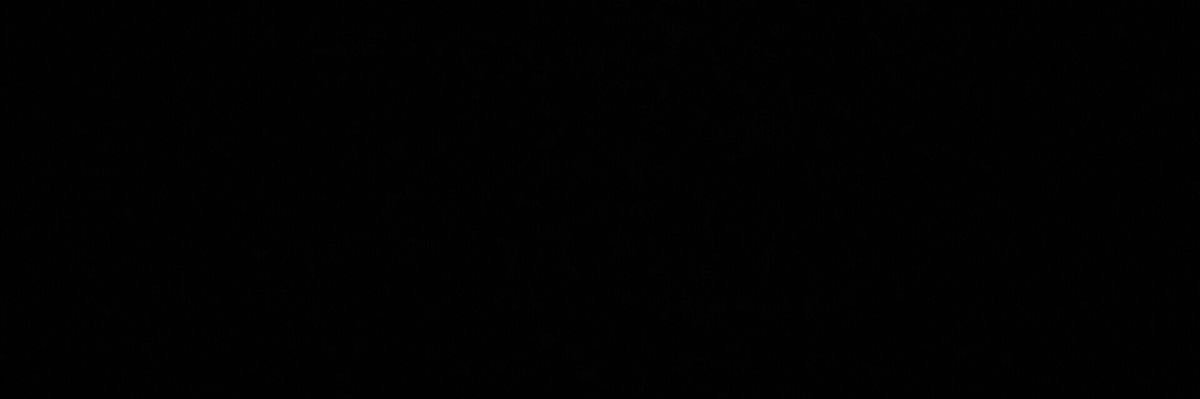karol's banner