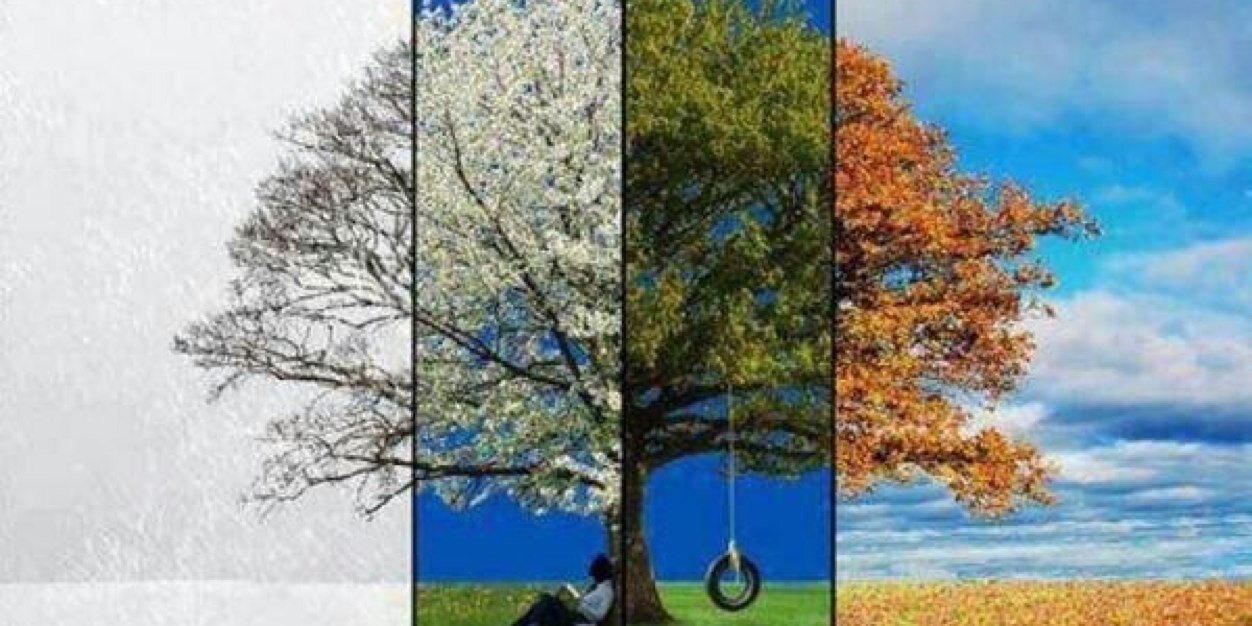 MAJED's banner