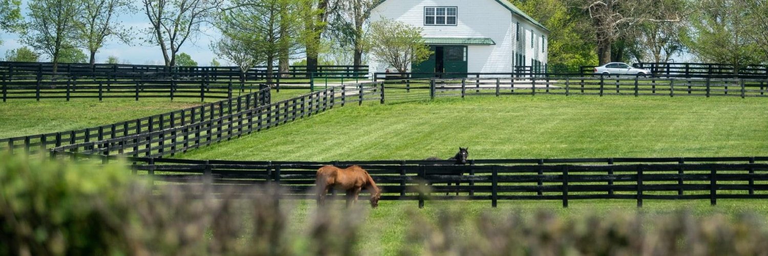 Horse Country's banner