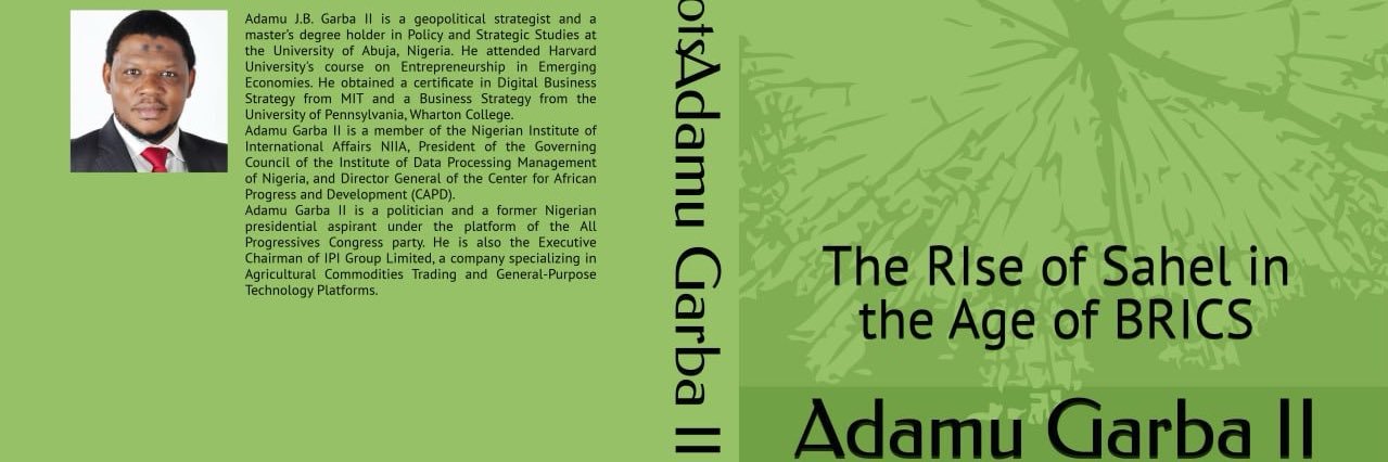 Adamu B. Garba II, Msc, MNIIA, FIDPM's banner