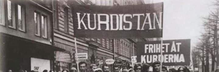 Narîn ☀️'s banner