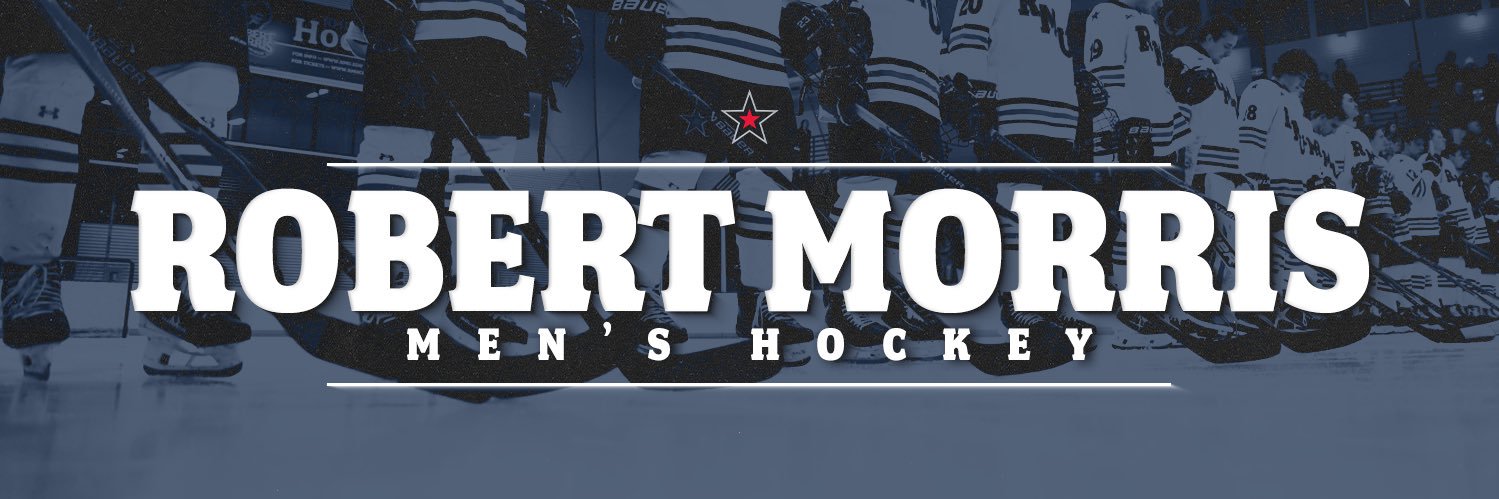 RMU Men’s Hockey's banner