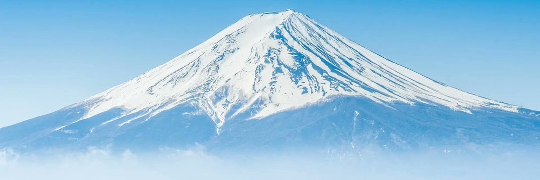 白洲よみひと's banner