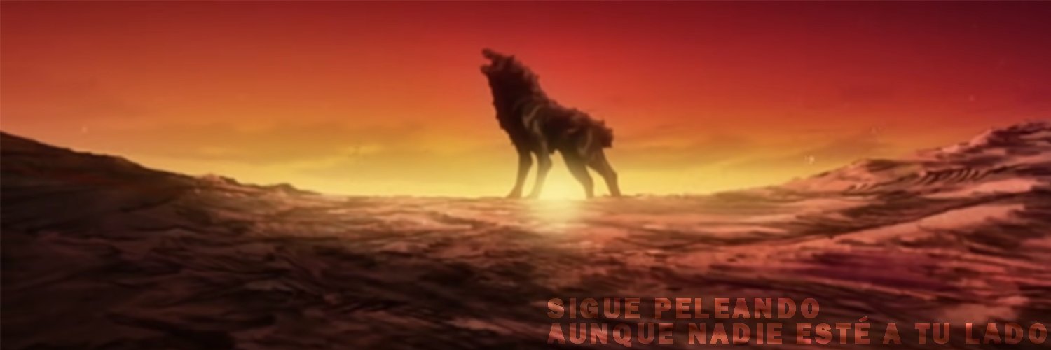 RaulZ (35%)'s banner