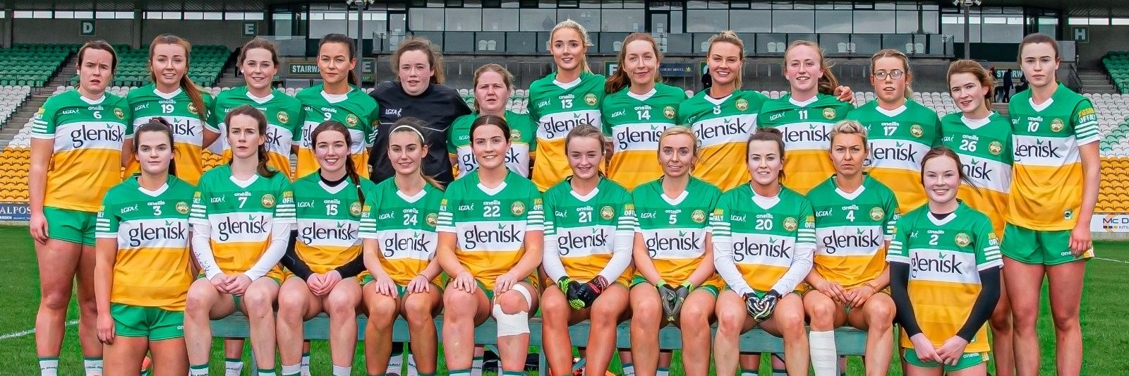 Offaly LGFA's banner