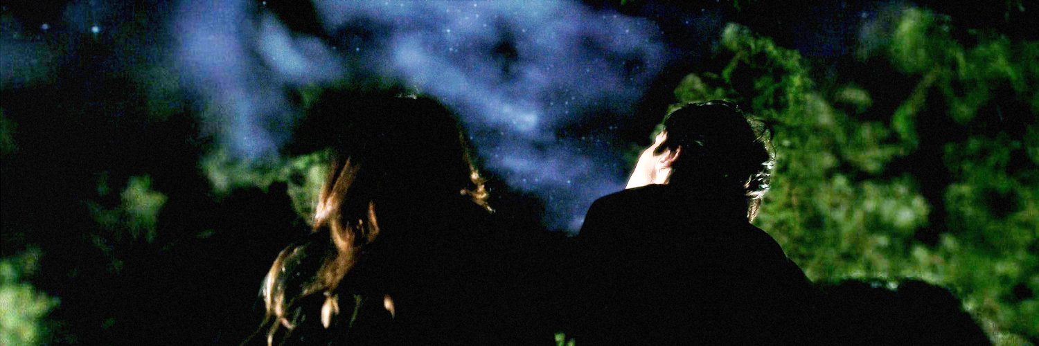 damon & elena's banner