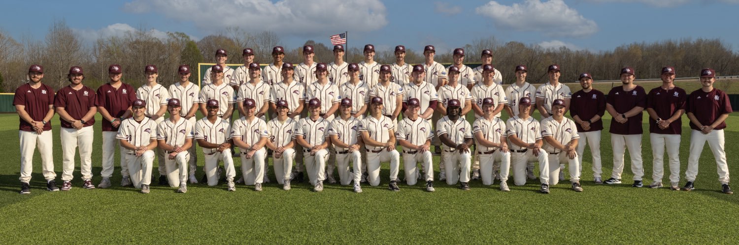 FHU Lions Baseball's banner