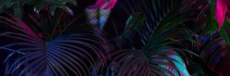 NAKEDSPA's banner