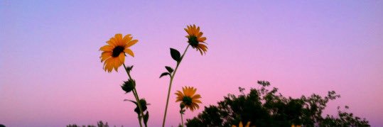 De’Asia 🌻's banner