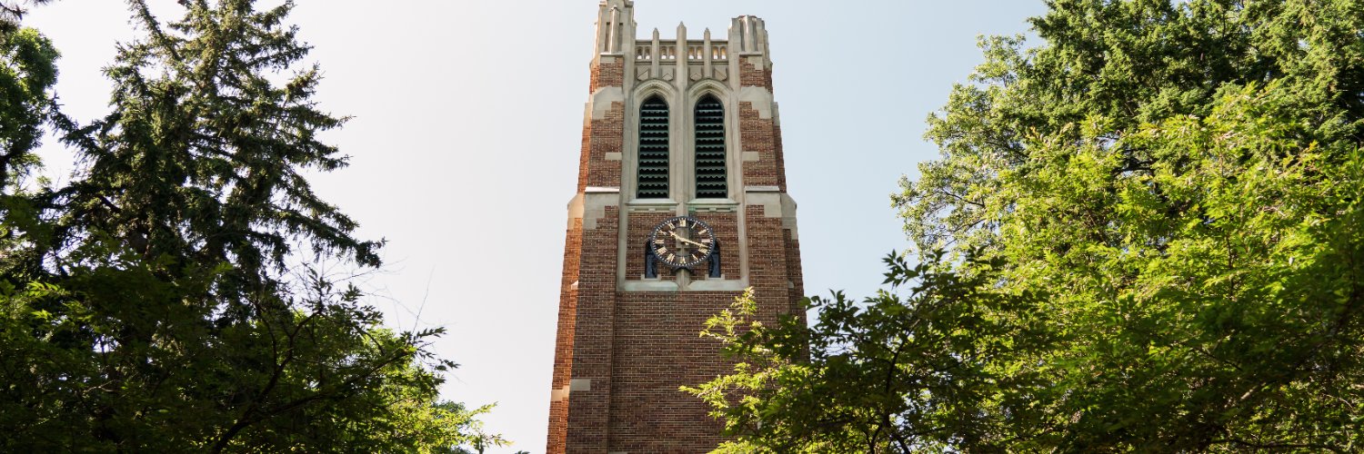 MSU's banner
