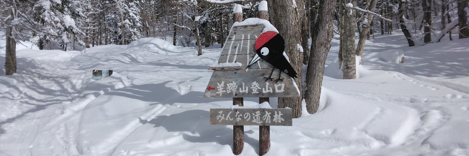 とんぬらBT's banner