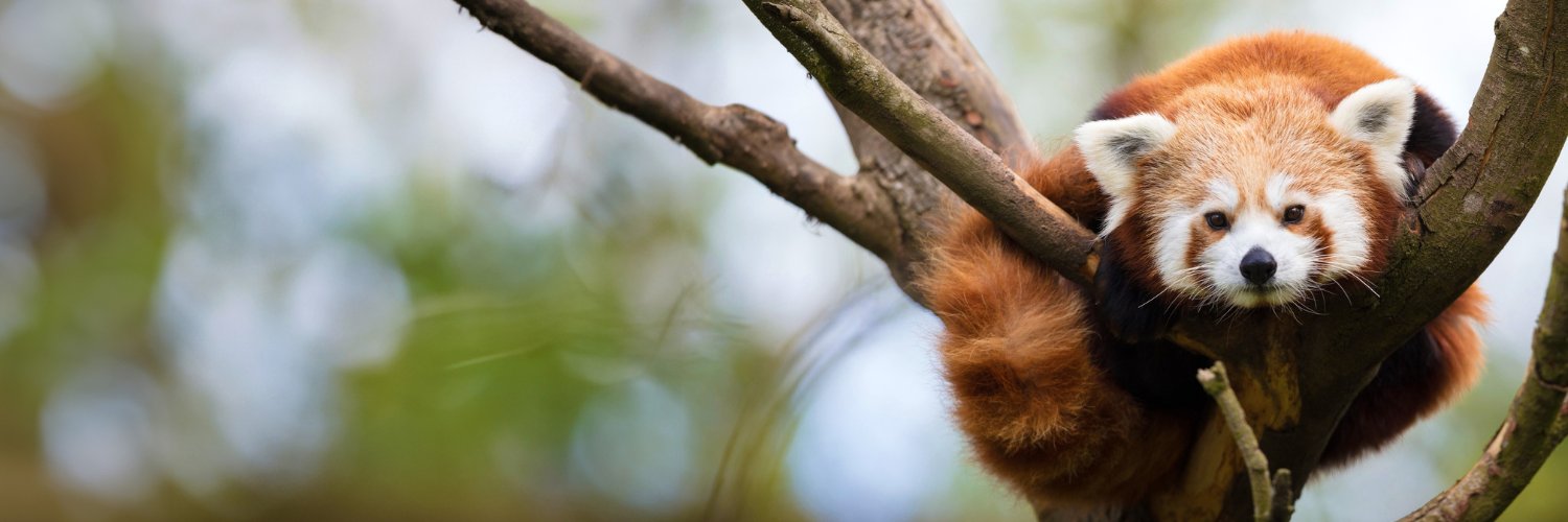Dublin Zoo's banner