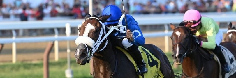 Ryan - Counter Point Thoroughbreds's banner
