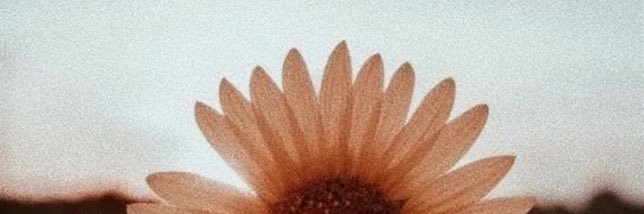 venus ✺'s banner