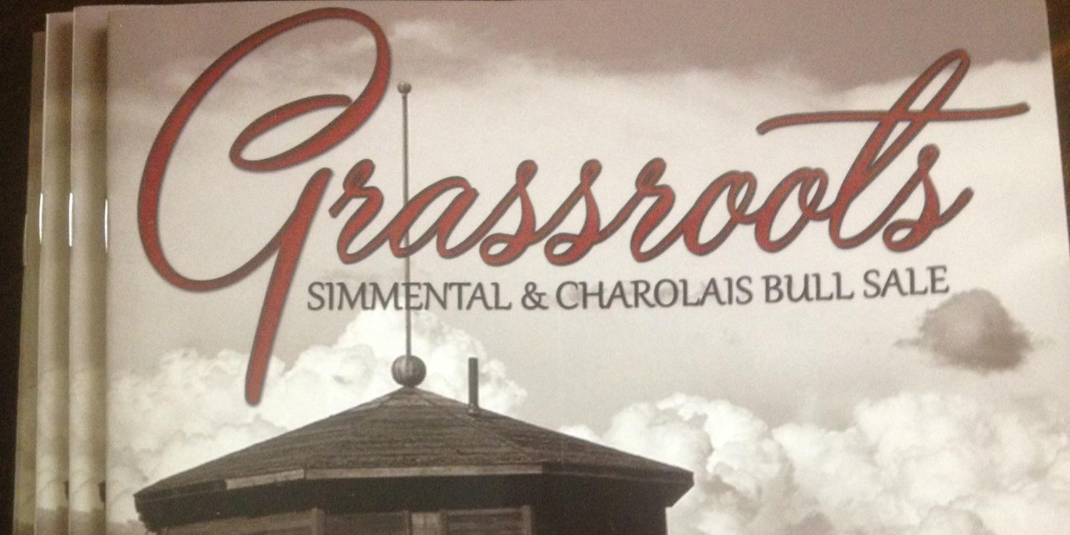 Kresten Jorgenson's banner