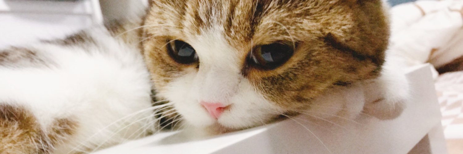 Pa_Pa ปาป้า(●´ω｀●)'s banner