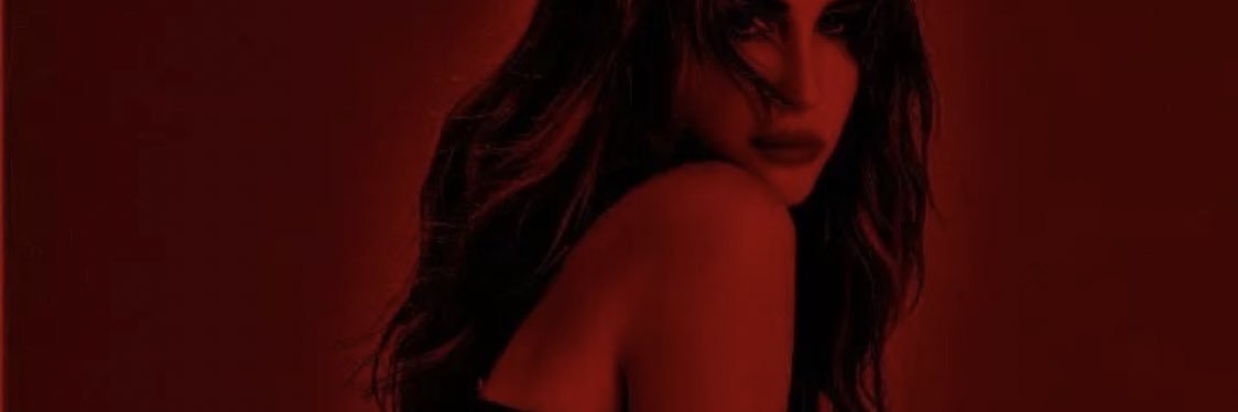 Aynur Aydin's banner