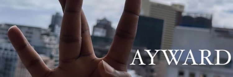 SALT's banner