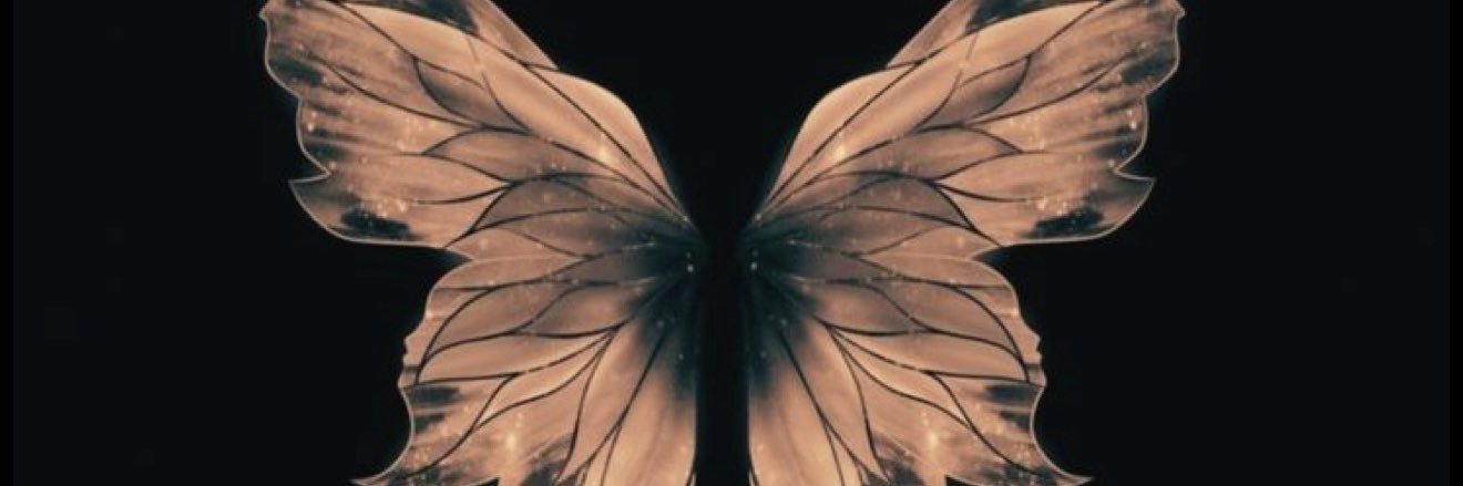 𝕮𝖆𝖗𝖍𝖚𝖒🔥's banner