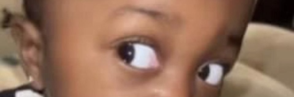 The Guy W/The Nose Ring's banner