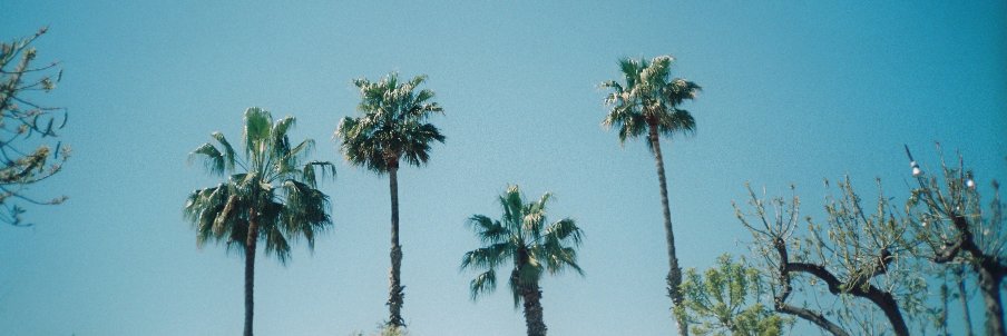 Payu's banner